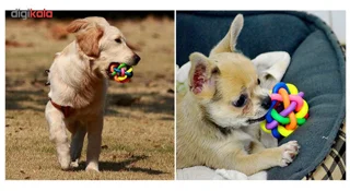 توپ اسباب بازی سگ تو در تو مدل Juguetes Perro Ball-S با زنگوله داخلی، جنس لاستیک قابل انعطاف-15.webp